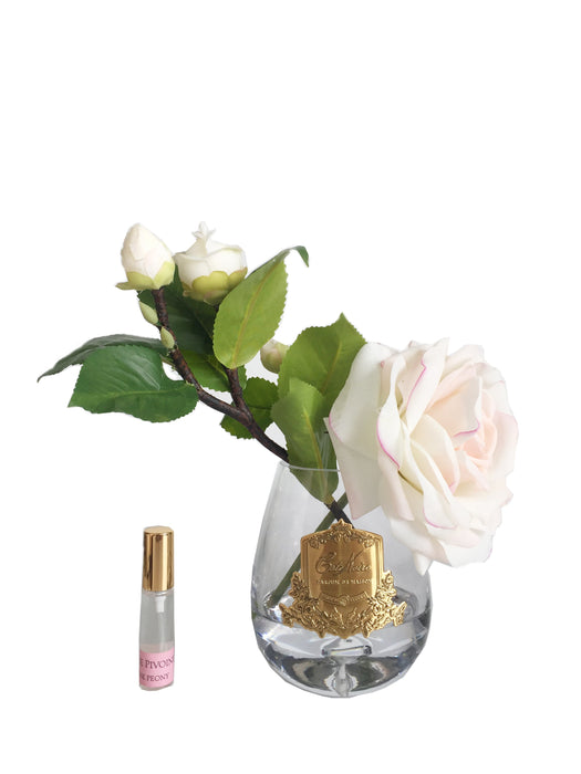 Cote Noire - Limited Edition Tear Drop- Tea Rose - Pink Blush - Pink Box - STR20