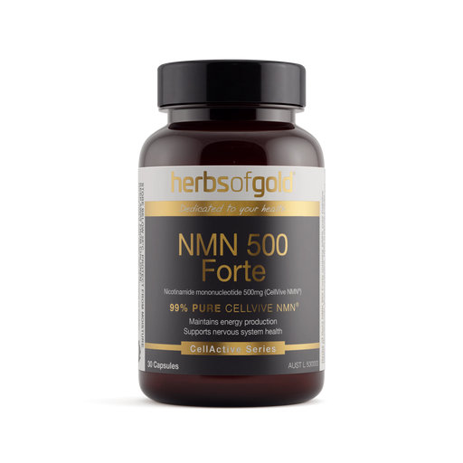 NMM 500 Forte