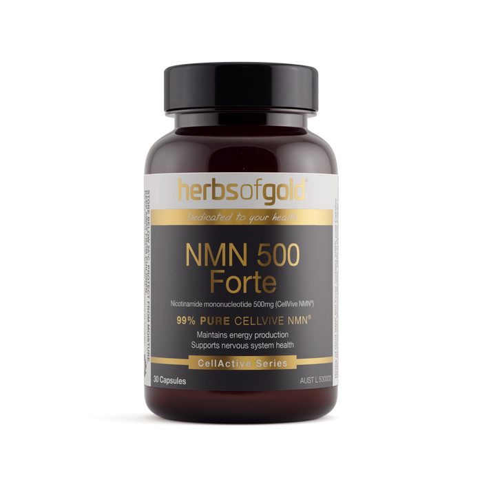 NMM 500 Forte