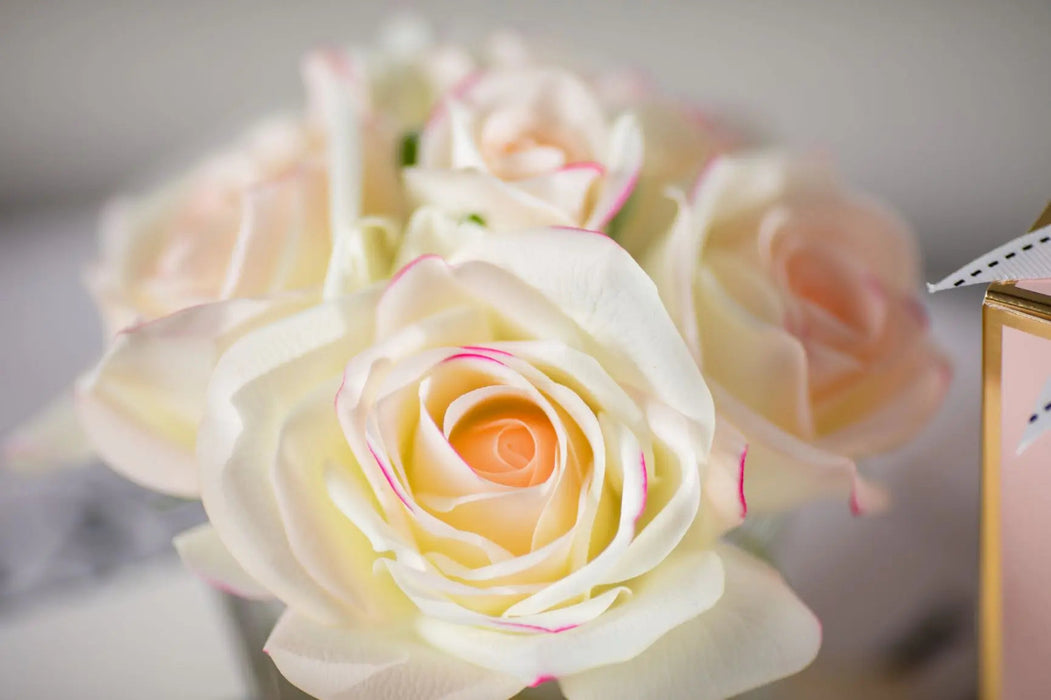 Cote Noire Perfumed Natural Touch 5 Roses - Clear - Pink Blush - Pink Box - GMR88 Cote Noire