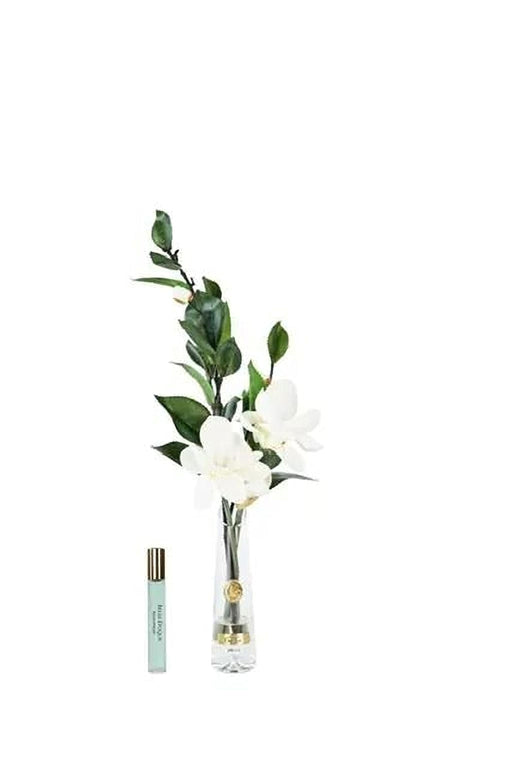 Cote Noire Summer Magnolia - White & Gold -NEW- SMG01 Cote Noire