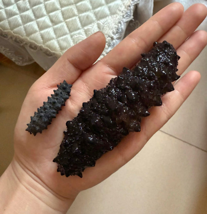 European Premium Black Sea Cucumber (Spikes) XS 220~260pcs/kg--500G