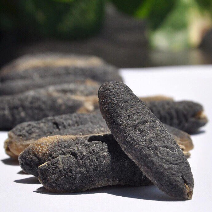 Australian Bald sea cucumber(L)40-60/kg -- 500G