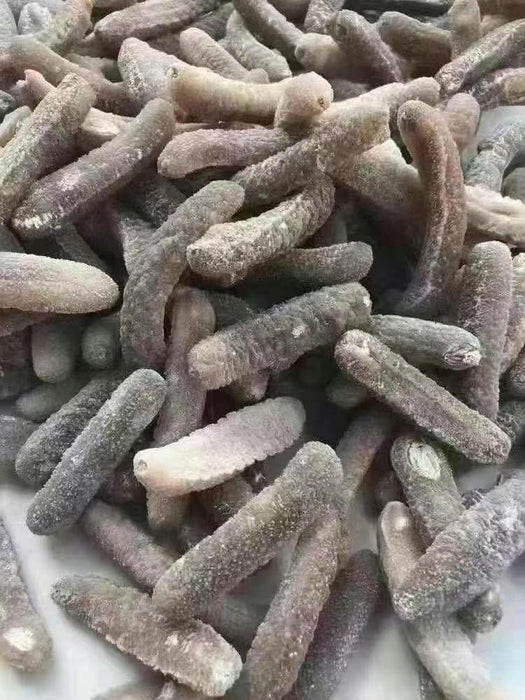 Australian Golden SeaCucumber (M) 60-90/kg --500G