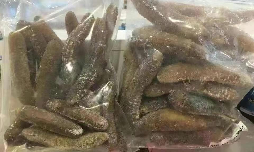 Australian Golden Sea Cucumber( L) 40-60/kg --500G