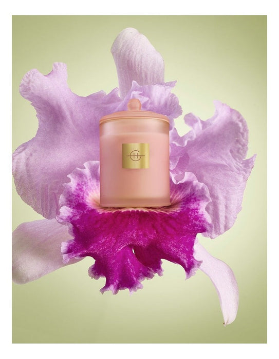 A pink candle with a gold logo is surrounded by a large purple orchid flower against a green background.