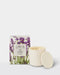 a white candle in a white container with a lid, and a box of the same candle.