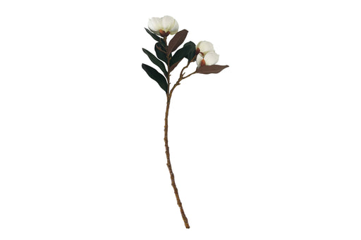 Cote Noire Artificial Magnolias Stems - LOL02 Cote Noire