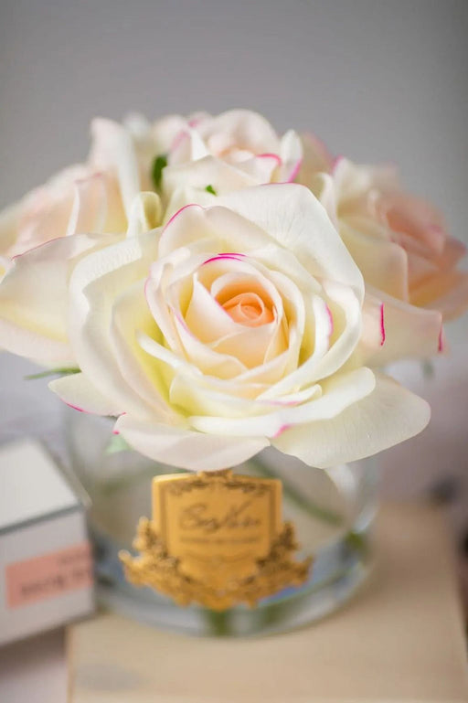 Cote Noire Perfumed Natural Touch 5 Roses - Clear - Pink Blush - Pink Box - GMR88 Cote Noire