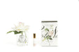 Cote Noire Perfumed Natural Touch Single Rose - Clear - Pink Blush - GMR02 Cote Noire