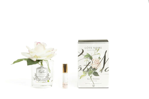 Cote Noire Perfumed Natural Touch Single Rose - Clear - Pink Blush - GMR02 Cote Noire