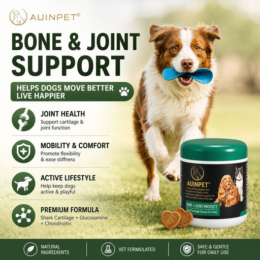 The image is an advertisement for a pet food product called "Auipet Bone & Joint Support". It features a dog holding a blue toy in its mouth, with a green jar of the product placed next to it. The ad highlights the product's benefits for dogs, such as joint health support, mobility, and comfort, as well as promoting an active lifestyle and a premium formula. The ad also emphasizes the product's natural ingredients and veterinary-formulated formula, making it safe and gentle for daily use.