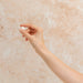 Herbs of Gold Vitamin B1 100mg Herbs of gold