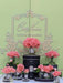 Cote Noire Perfumed Natural Touch Single Rose - Clear - White Peach - GMR05 Cote Noire