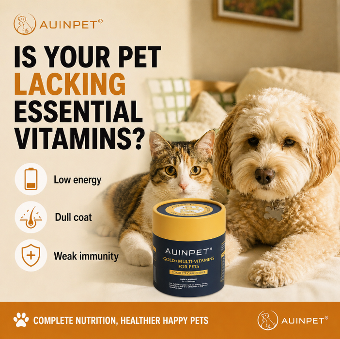 Auinpet GOLD + MULTI-VITAMINS for Pets - Complete Care Chews -1g*120Chews