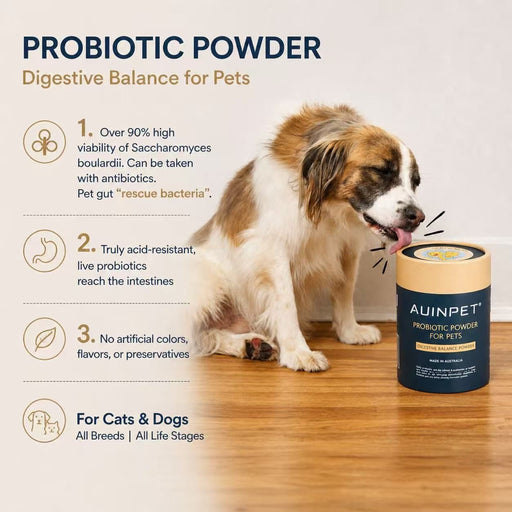 The image is an advertisement for a probiotic powder product for pets. It features a dog sitting on a wooden floor next to a can of the product, with text describing the product's benefits for dogs.