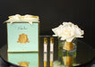 Cote Noire Perfumed Natural Touch 5 Roses - Clear & Gold Badge - Ivory White - GMR92 - Jade Tiffany Box Cote Noire