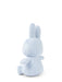 A light blue stuffed bunny toy is sitting on a white background.