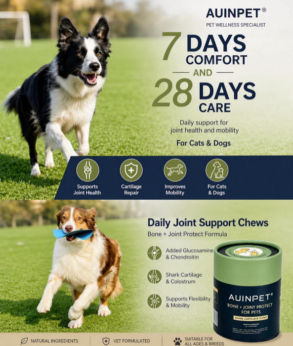 Auinpet Bone + Joint Protect for Pets - Shark Cartilage Chews