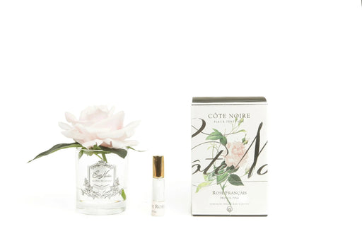 Cote Noire Perfumed Natural Touch Single Rose - Clear- french pink - GMR06 Cote Noire