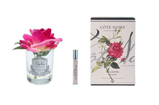 Cote Noire Perfumed Natural Touch Single Rose - Clear - Magenta - GMR07 Cote Noire