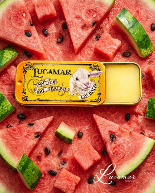 a tin of Lucamar lip balm surrounded by slices of watermelon and black seeds.