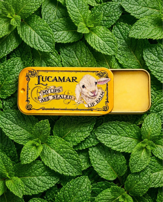 A yellow tin with a picture of a lamb and the text "My lips are sealed" is placed on top of a bed of green mint leaves.