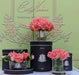 Cote Noire - Herringbone Flower - Rose Buds - Clear - White Peach - HCF25 Cote Noire