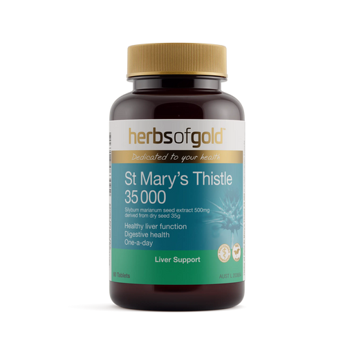Herbs of Gold St Mary's Thistle 35 000 Herbs of gold