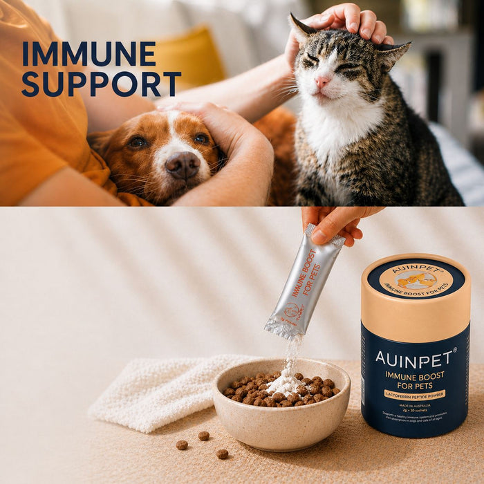 The image is a collage of two photos. The top photo shows a person petting a dog, while the bottom photo shows a person feeding a cat from a bowl of cat food.
