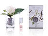 Cote Noire Perfumed Natural Touch Rose Bud - Clear- Pink Blush - GMR42 Cote Noire
