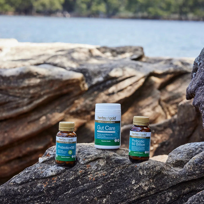 Herbs of Gold Gut Care Herbs of gold