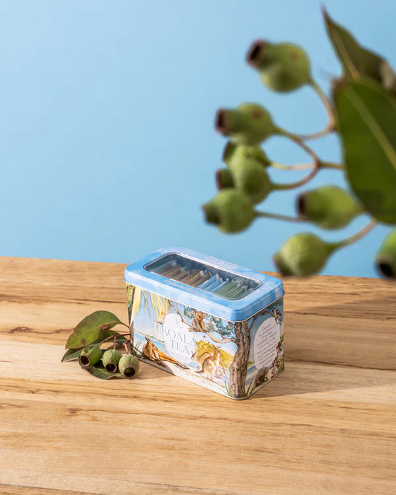 Koala Tea Koala Gift Tin Beach