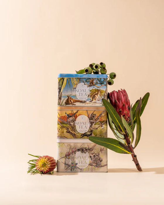 Koala Tea Koala Gift Tin Desert