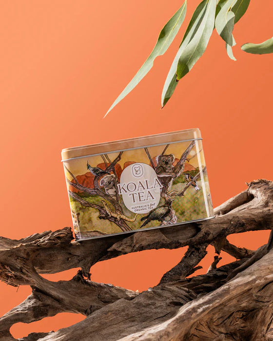 Koala Tea Koala Gift Tin Desert