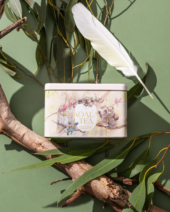 Koala Tea Koala Gift Tin Fotest
