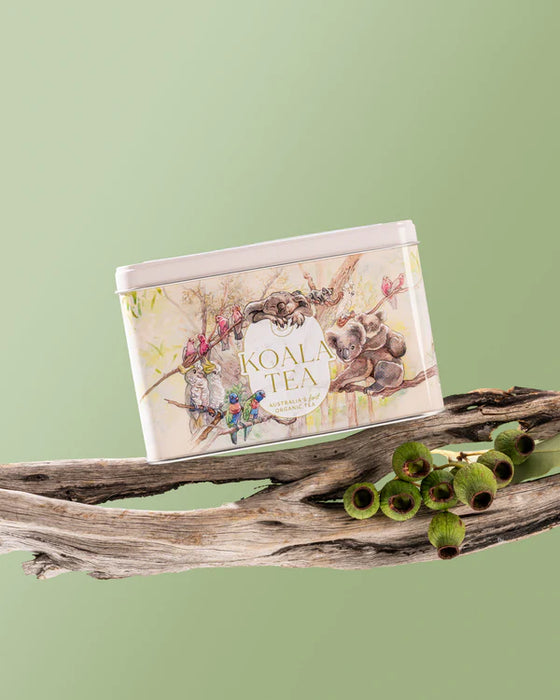 Koala Tea Koala Gift Tin Fotest