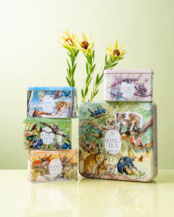 Koala Tea Discovery Premium Koala GiftTin