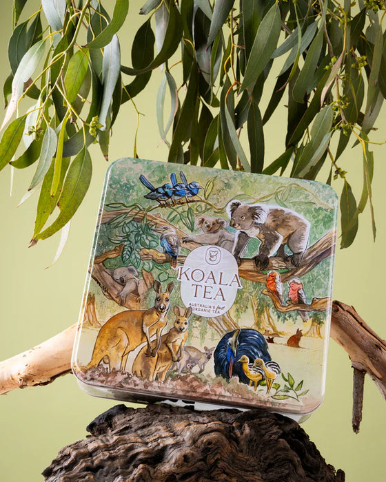 Koala Tea Discovery Premium Koala GiftTin