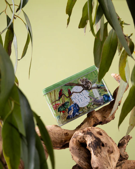 Koala Tea Koala Gift Tin Rainforest