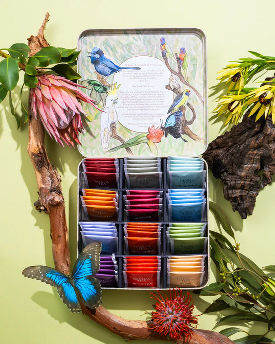 Koala Tea Discovery Premium Koala GiftTin