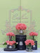 Cote Noire - Seven Rose Bouquet in White Peach - SMB05 Cote Noire