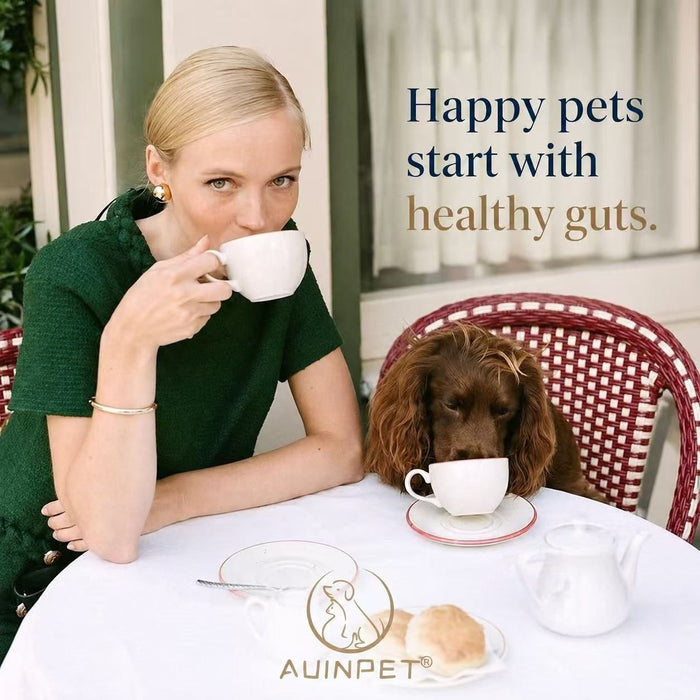 A woman in a green dress is sitting at a table with a brown dog, both enjoying tea together.