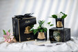 Cote Noire Perfumed Natural Touch Double Gardenias - Black - GMGB02 Cote Noire