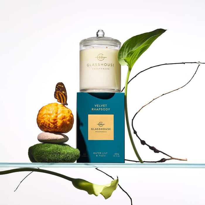 a collection of objects, including a candle, a leaf, a butterfly, and some stones, arranged on a glass shelf.