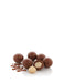 a collection of chocolate-covered nuts and a single nut with a bite taken out of it, all arranged on a white background.