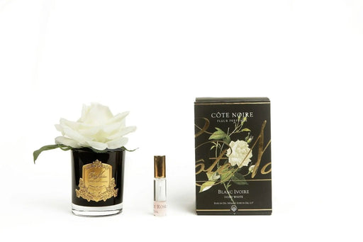 Cote Noire Perfumed Natural Touch Single Rose - Black - Ivory White - Gmrb01 Cote Noire