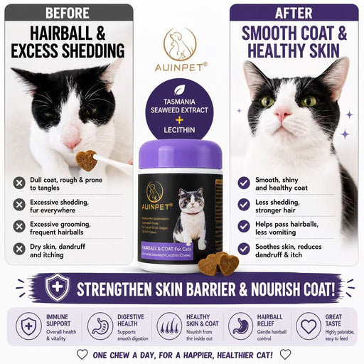 The image is a collage of two photographs of cats, one before and one after using a product called "AINPET" that claims to improve the cats' coat and skin health.