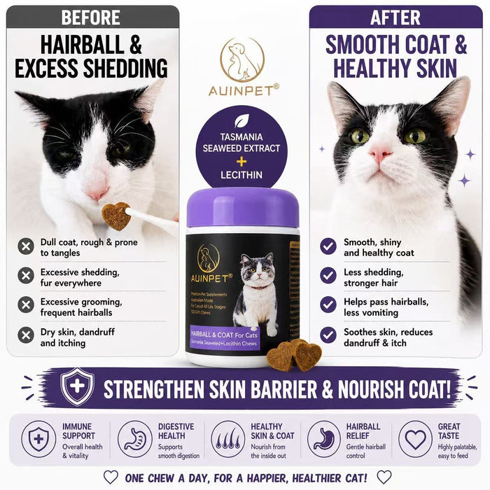 The image is a collage of two photographs of cats, one before and one after using a product called "AINPET" that claims to improve the cats' coat and skin health.