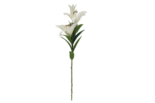Cote Noire Artificial Lily Stems - LOL01 Cote Noire